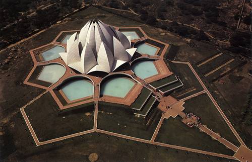lotus1